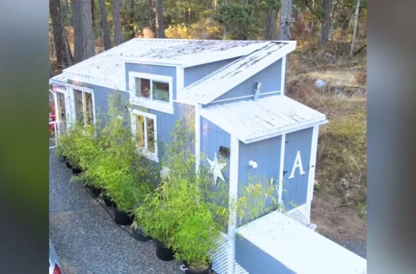  Enkel, men så mysig : En gammal dam designade sitt hem på ett sätt som är bättre än vilken dyr herrgård som helst