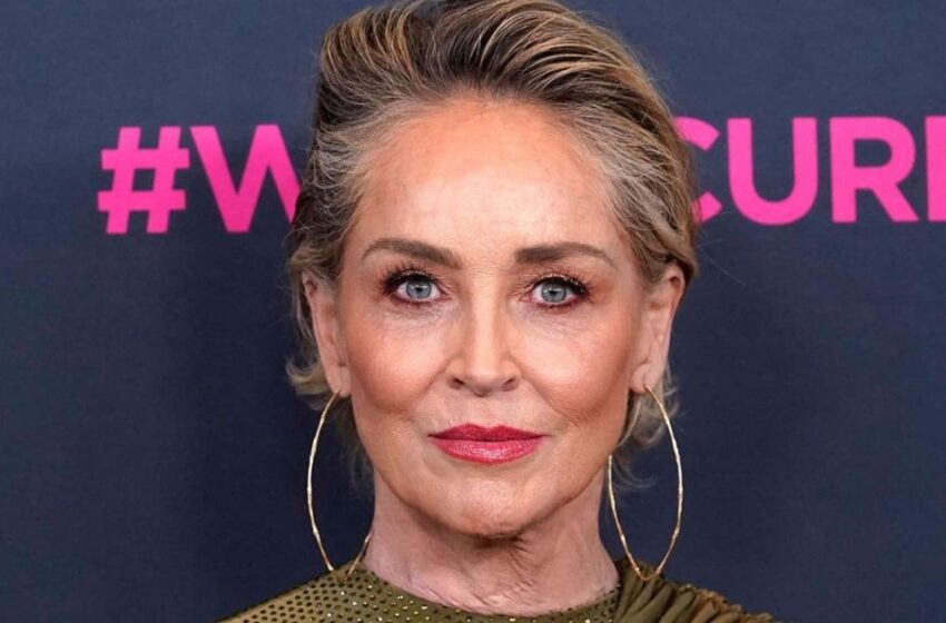  Fans kunde inte missa denna detalj: Varför är 65-åriga Sharon Stones bikini-bilder en av de mest diskuterade ämnena!