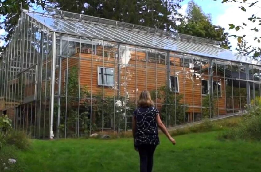  Familjen drömde om att hålla sin trädgård och sitt hem varmt året runt, så de byggde ett fint växthus runt huset!