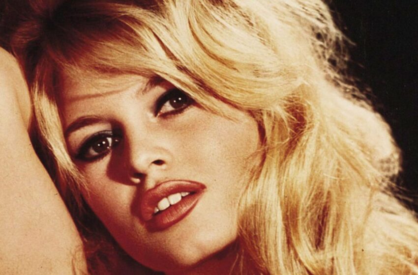  “Skådespelerskan Hade 4 Män Och Mer Än 100 Älskare”: Brigitte Bardot Är Redan 88 År Gammal, Hur Ser Hon Ut Nu?