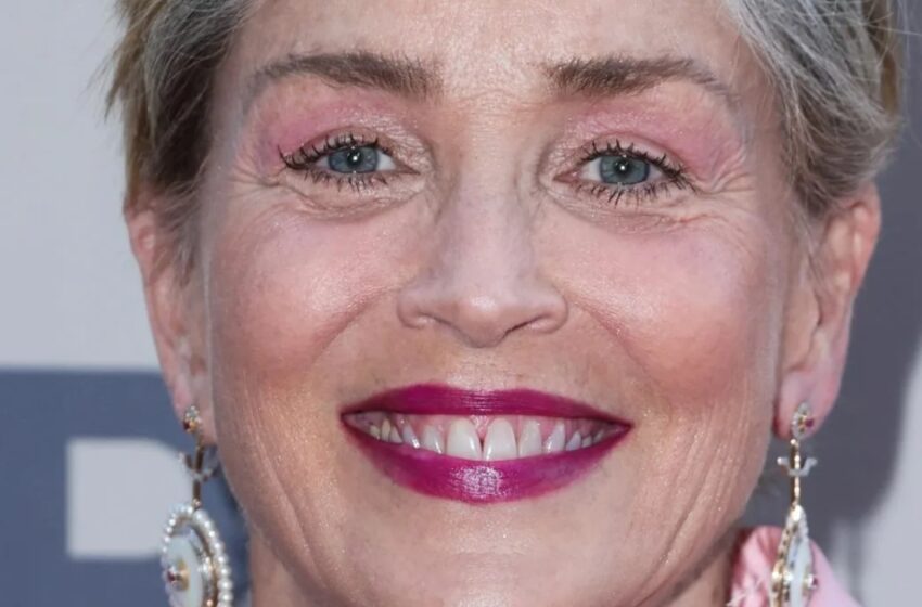  ”En Gråhårig Mormor I En Sjal”: Sharon Stone Häpnade Fans Med Sin Ovanliga Uppsyn!