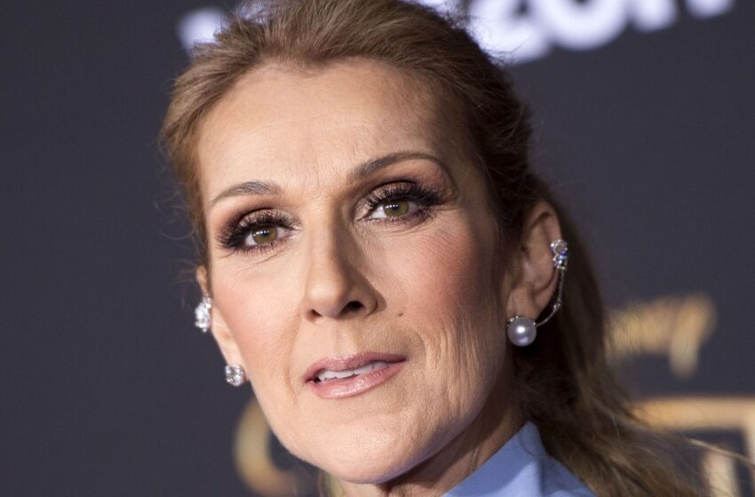  ”Varje Steg Ser Ut Som Tortyr För Den Försvagade Stjärnan”: Celine Dion Stod På Höga Klackar Trots Sitt Hälsoproblem!