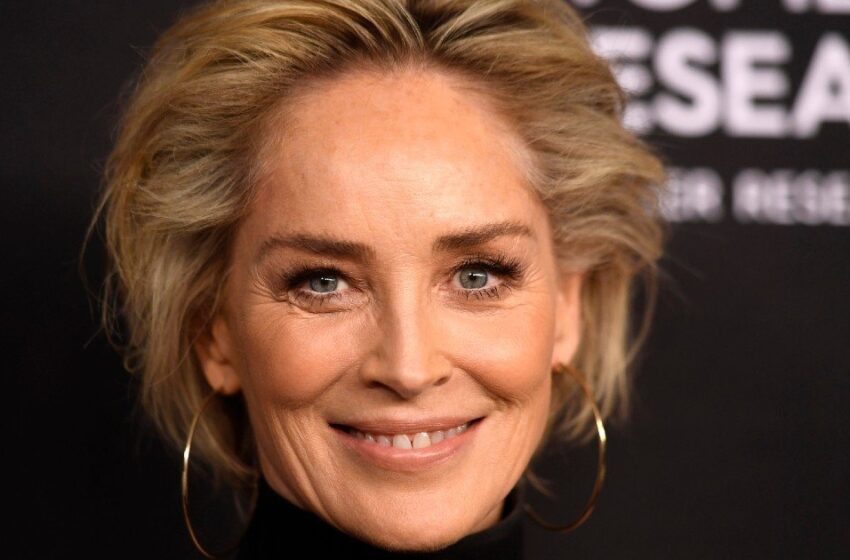  Sharon Stones barn är redan vuxna: Hur ser stjärnans arvtagare ut nu, som hon gömde så länge?