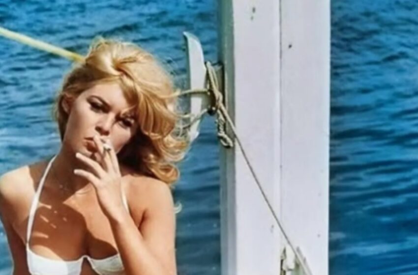  Jag tänker inte lämna den här världen”: 91-åriga Brigitte Bardot bryter tystnaden och lyser fortfarande som en legendarisk ikon inom fransk film!